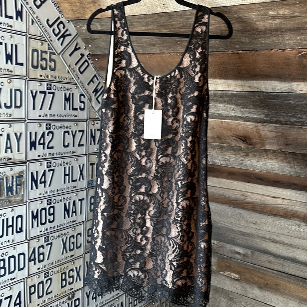 BNWT WILFRED ARITZIA Lace Dress